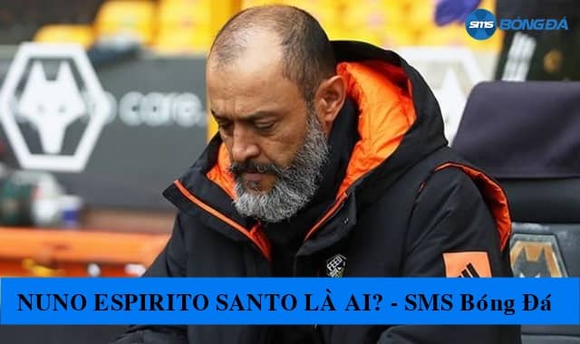 Sự nghiệp cầu thủ Nuno Espirito Santo