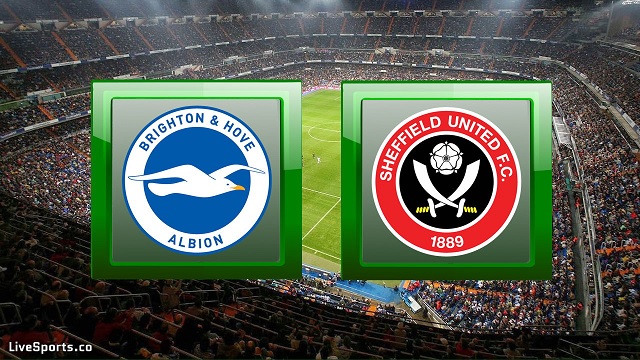 Sheffield United vs Brighton, 02h00 - 25/04/2021 - NHA vòng 33